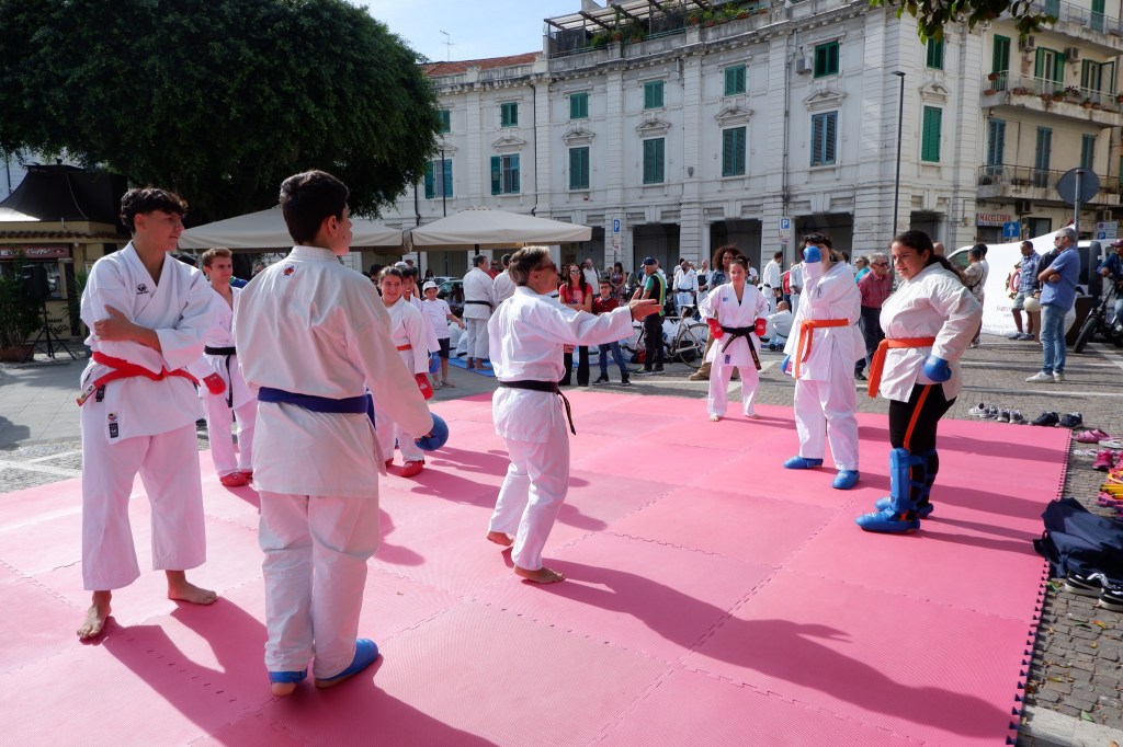 arti marziali sul tatami montato