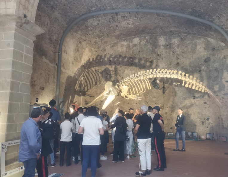 Milazzo museo del mare muro della legalità