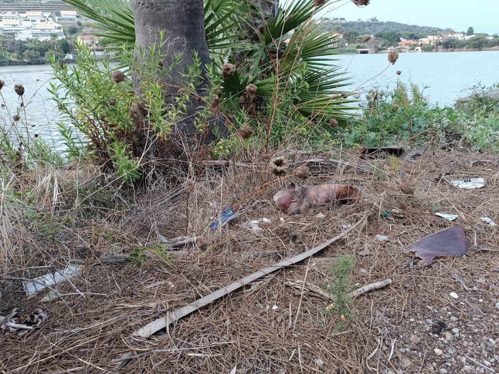 lago di ganzirri rifiuti