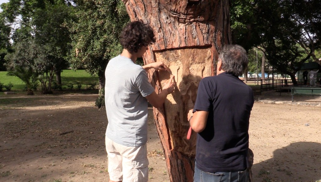 albero villa dante colapesce 