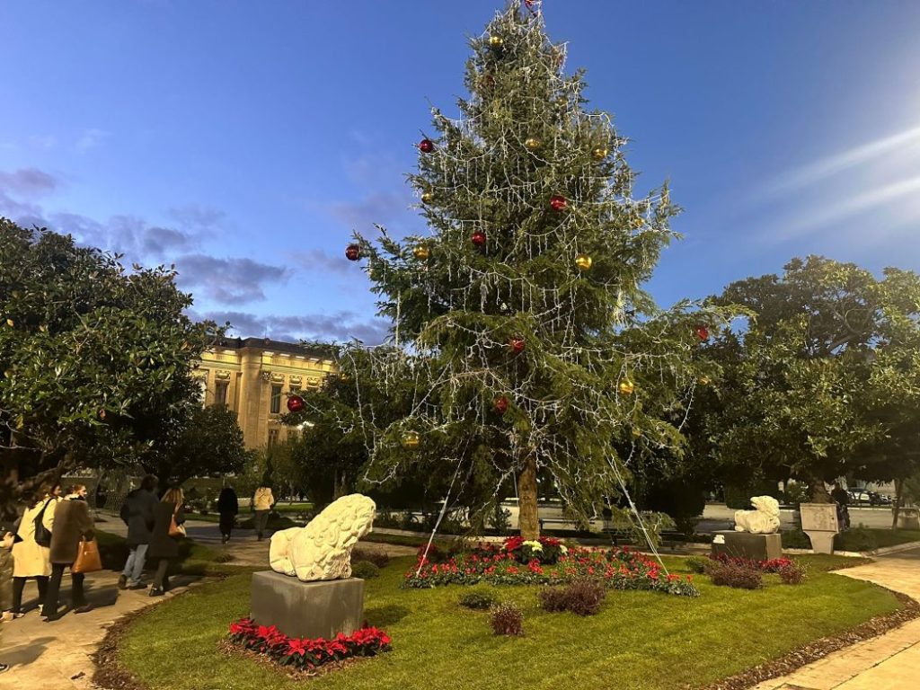 Albero di Natale 2024 a Palazzo Zanca