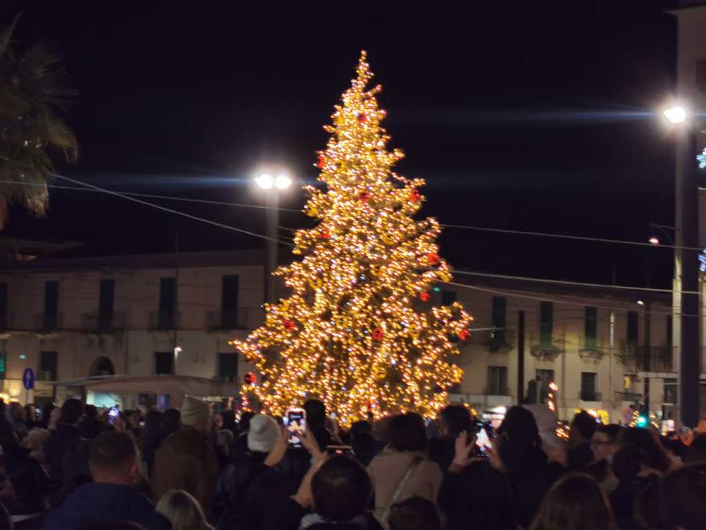 Albero illuminato a Piazza Cairoli